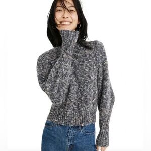 Madewell Eaton Pleat-Sleeve Space dye Sweater (2): S and L